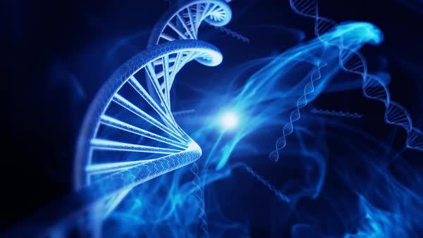 illumina Miseq